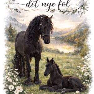 Hest & Føl 01