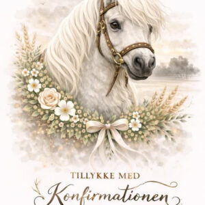 Hestekonfirmation kort 19