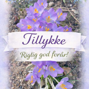 Tillykke kort - Forårs blomster 04