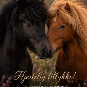 Islænder Heste 09