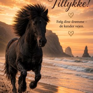 Islænder Heste 17